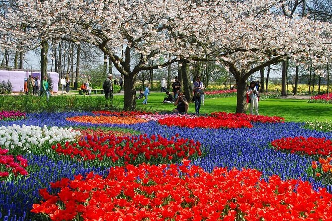 Amsterdam: Keukenhof Entry & Shuttle Bus with Flexible Return - Three hours at Keukenhof, or a full eight-hour day