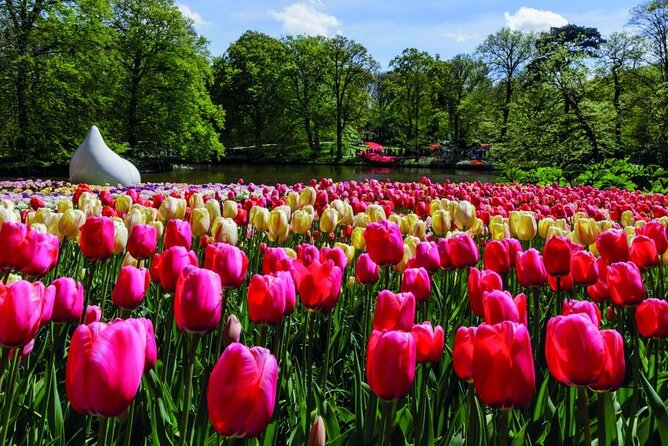 Amsterdam: Keukenhof Entry & Shuttle Bus with Flexible Return - Who should book this experience