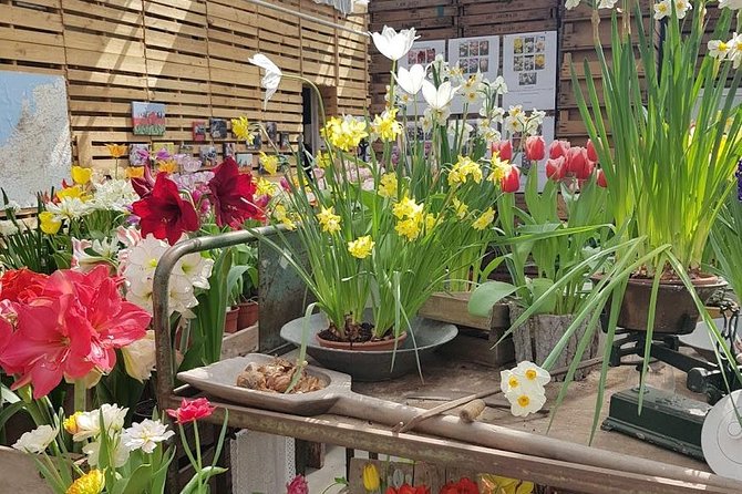 Amsterdam : Keukenhof FlowerFarm Privatetour Skip-The-Line ticket - The private car and driver-guide experience