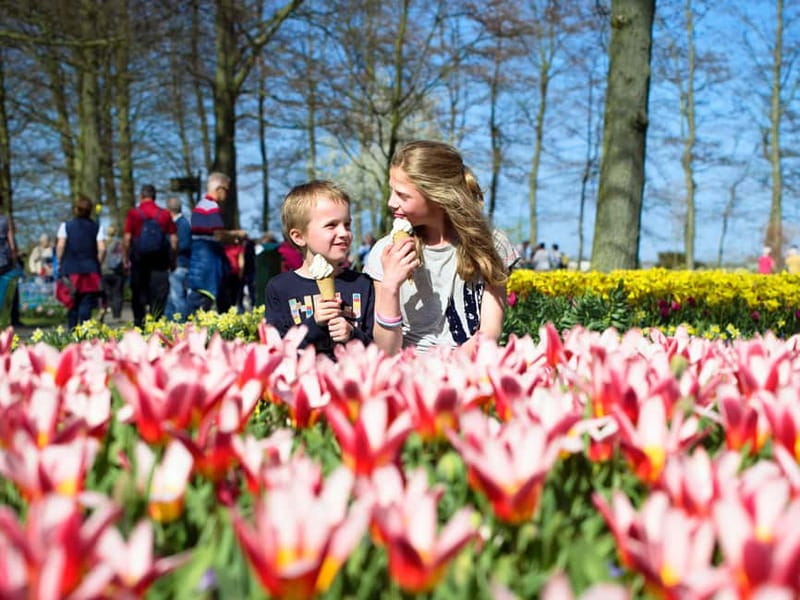 Amsterdam: Keukenhof Ticket and Roundtrip Shuttle Transfer - Key points at a glance