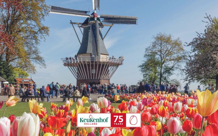 Amsterdam: Keukenhof Ticket and Roundtrip Shuttle Transfer - Who should book this shuttle