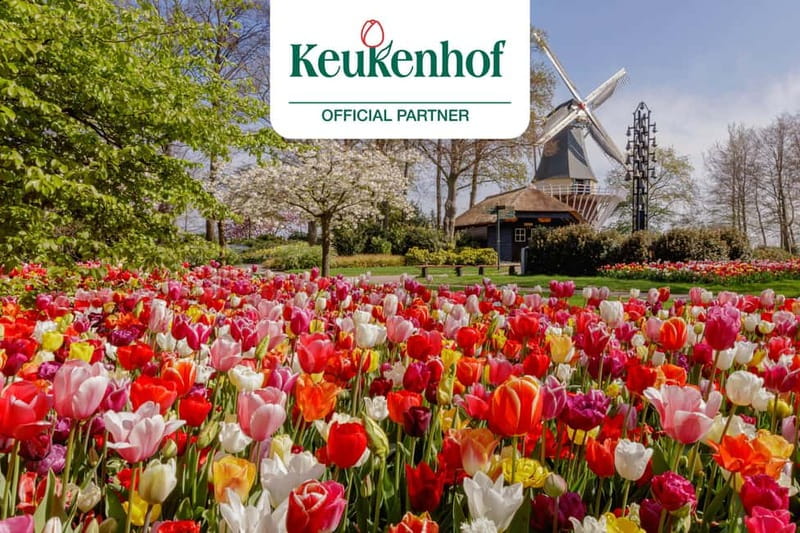 Amsterdam: Keukenhof Ticket and Roundtrip Shuttle Transfer - Why this Keukenhof transfer works so well