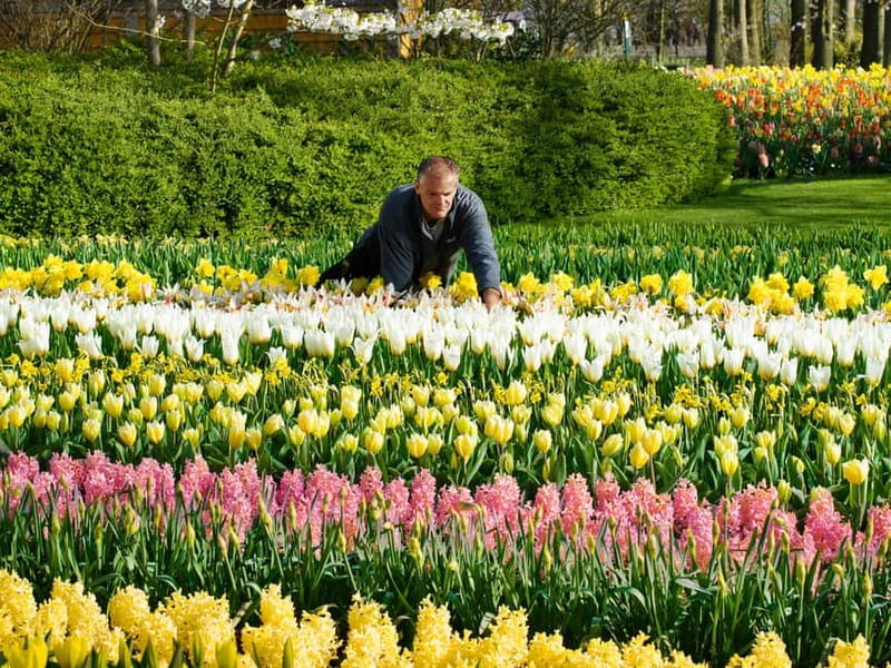 Amsterdam: Keukenhof Ticket and Roundtrip Shuttle Transfer - The coach ride to the flower gardens