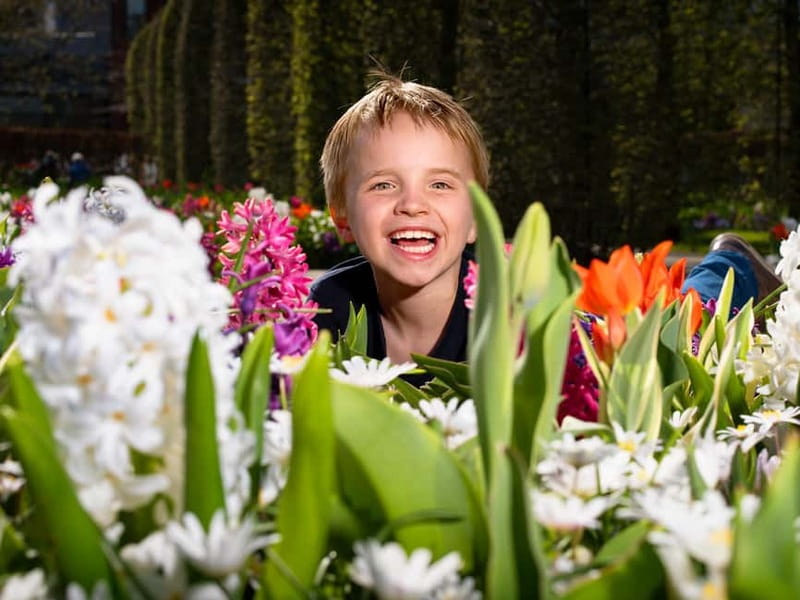 Amsterdam: Keukenhof Ticket and Roundtrip Shuttle Transfer - Entering Keukenhof with your ticket ready