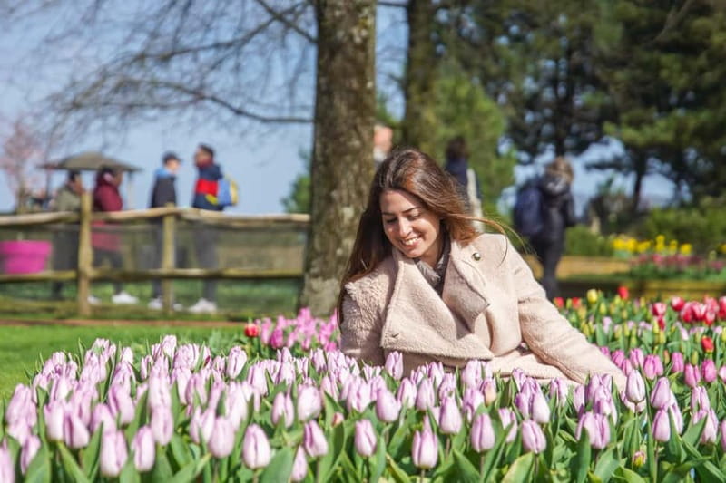 Amsterdam: Keukenhof Ticket and Roundtrip Shuttle Transfer - The most important choice: when to visit