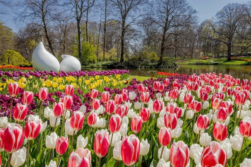 Amsterdam: Keukenhof Ticket and Roundtrip Shuttle Transfer - Food, facilities, and practical comfort