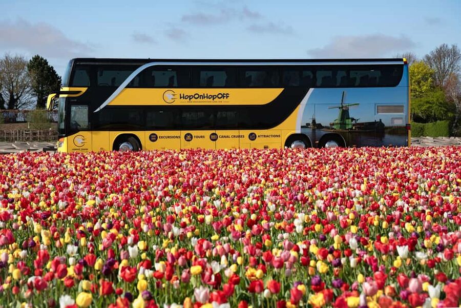 Amsterdam: Keukenhof, Tulip Farm Full-Day Tour with Cruise - Who should book this tour