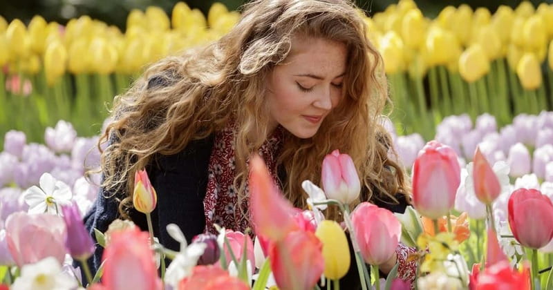 Amsterdam: Keukenhof, Tulip Farm Full-Day Tour with Cruise - Why this day trip works