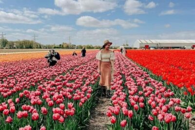 Keukenhof, Tulip Farm Full-Day Tour with Cruise