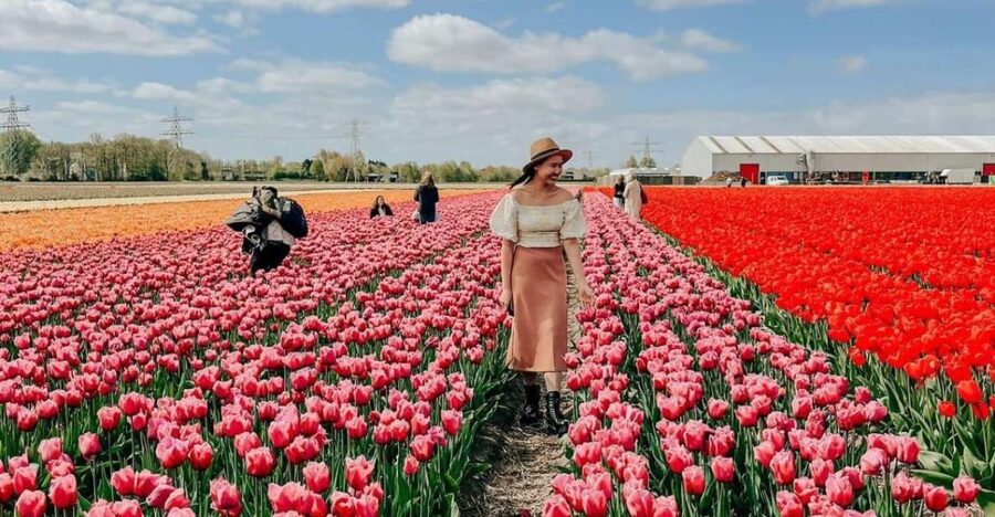 Amsterdam: Keukenhof, Tulip Farm Full-Day Tour with Cruise - Exploring Keukenhof after 1:30pm
