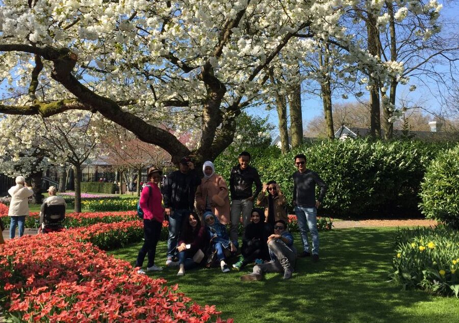 Amsterdam: Keukenhof Tulip Garden and Giethoorn Experience - Who gets the most value from this day