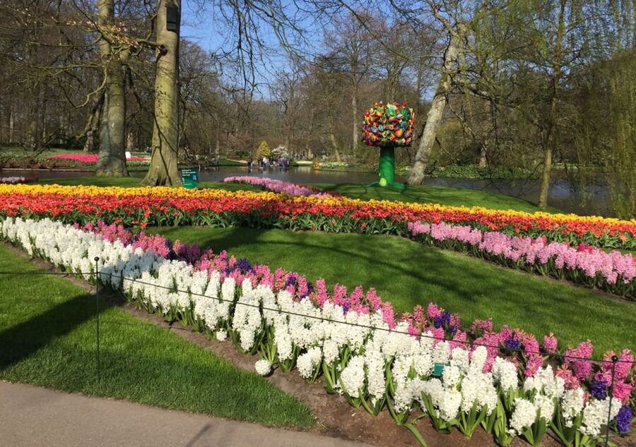 Amsterdam: Keukenhof Tulip Garden and Giethoorn Experience - Keukenhof after the gates open
