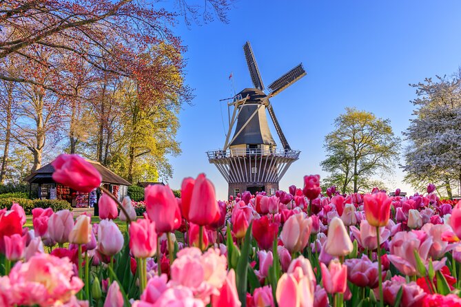 Amsterdam: Keukenhof, Zaanse Schans & Volendam Tour - One day, two very different Dutch outings