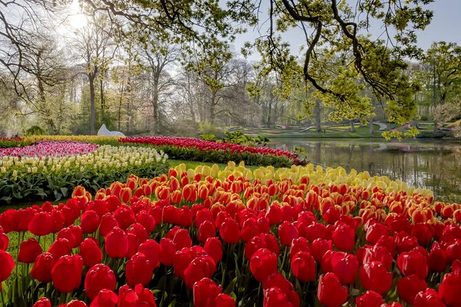 Amsterdam: Keukenhof, Zaanse Schans & Volendam Tour - Keukenhof: acres of flowers and a lot of walking