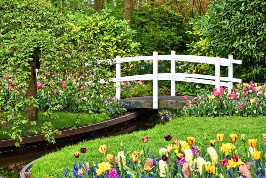 Amsterdam: Keukenhof & Zaanse Schans Windmills Private Tour - Henri Willig cheese tasting