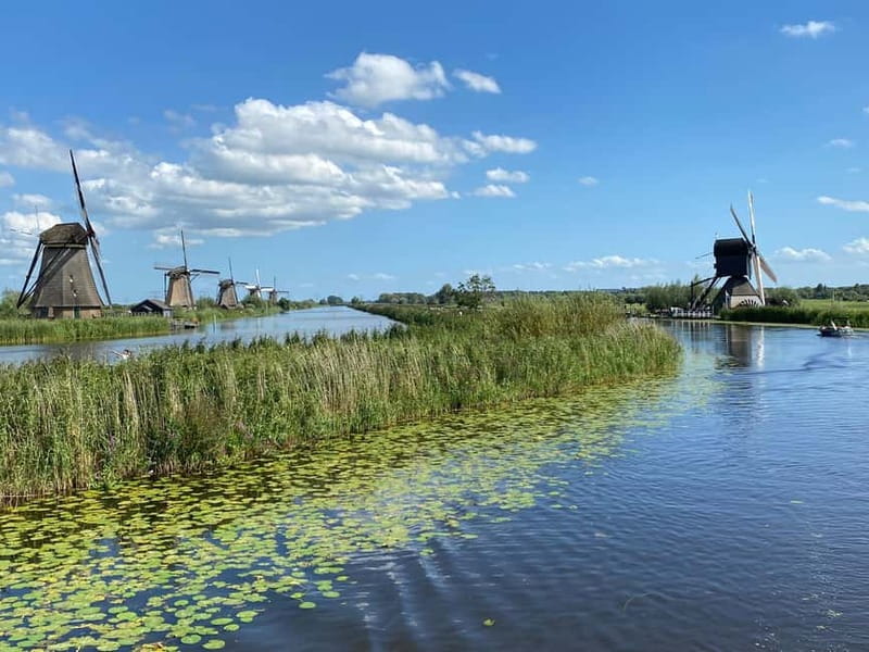 Amsterdam: Kinderdijk, Euromast, Delft and Den Haag Day Tour - What the $152 price includes