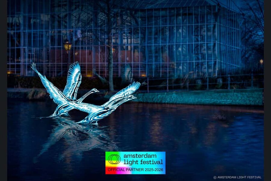 Amsterdam: Light Festival Heated Cruise with Drinks & Snacks - Why a heated boat works so well in winter