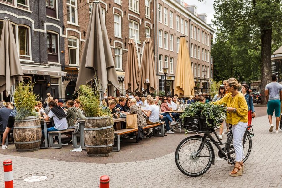 Amsterdam: Off-the-Beaten-Track Neighborhoods Private Tour - Amsterdam-Noord, from film museum to former shipyard