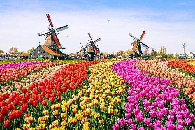 Amsterdam Pass: 45+ Things To Do - Includes Rijksmuseum - Boats, Bikes, and High-Energy Attractions