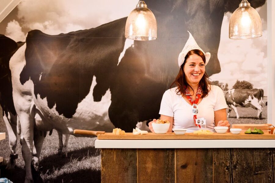 Amsterdam: Premium Henri Willig Cheese Tasting Experience - Key points at a glance