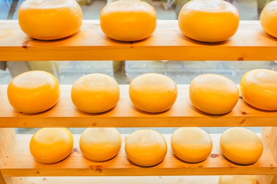 Amsterdam: Premium Henri Willig Cheese Tasting Experience - The Henri Willig family story and short film
