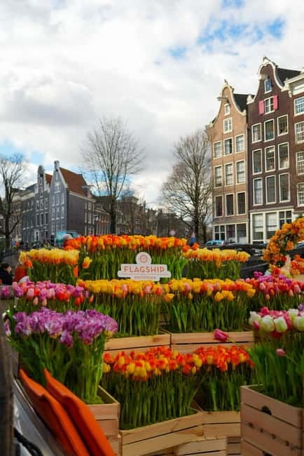 Amsterdam: Premium Tulip Boat Canal Tour - How to make the most of the hour