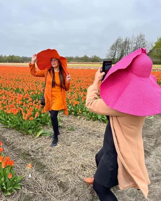 Amsterdam: Private Keukenhof and Free Tulip Tour - Why a private Keukenhof day can make sense