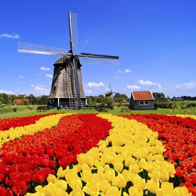 Amsterdam: Private Keukenhof and Free Tulip Tour - Four hours inside Keukenhof