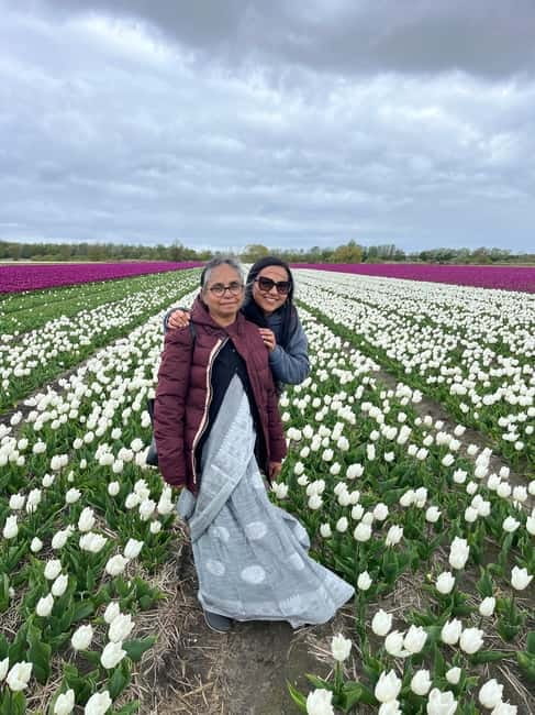 Amsterdam: Private Keukenhof and Free Tulip Tour - The Lisse tulip fields and the 45-minute photo stop