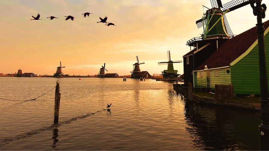 Amsterdam: Private Tour Giethoorn, Zaanse Schans Local Guide - Why this private day trip works
