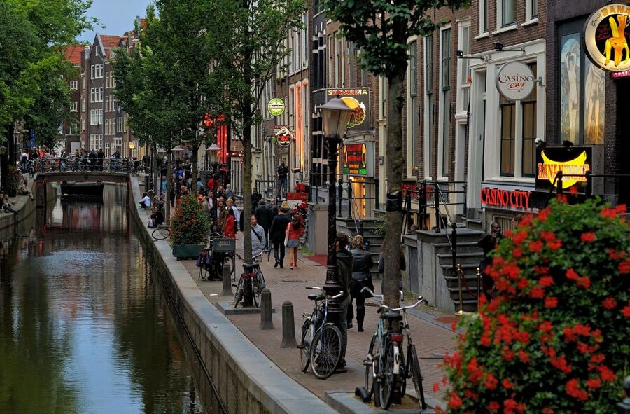 Amsterdam Red Light District tour with a local guide - Red-lit windows, brothels, and indoor sex work