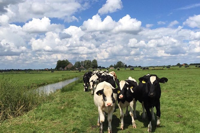 Amsterdam's Countryside Half-Day Bike Tour in Small Group - Why Waterland feels different from Amsterdam