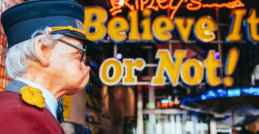 Amsterdam's Weirdest Museum: Believe It or Not! - The largest displays and best photo stops