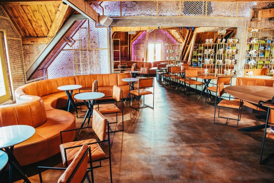 Amsterdam's Weirdest Museum: Believe It or Not! - Is the $26 ticket good value?