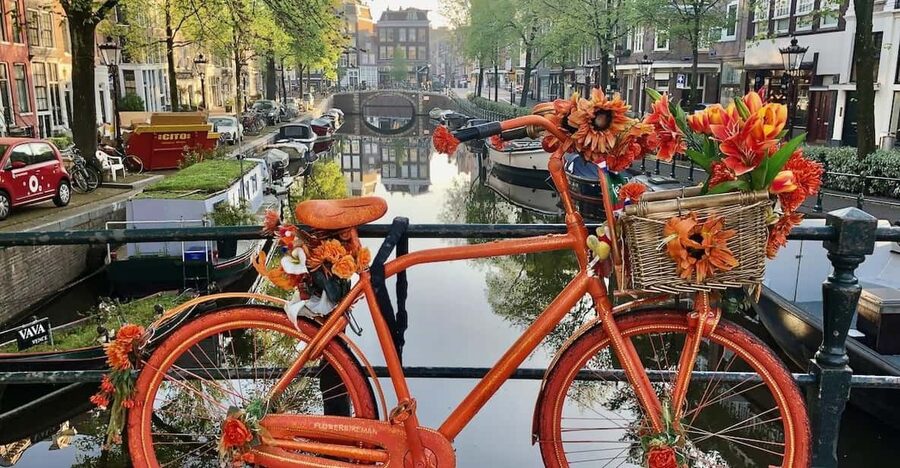 Amsterdam: Small Group Walking Tour with Fun Guide - A city story told without a stack of dates