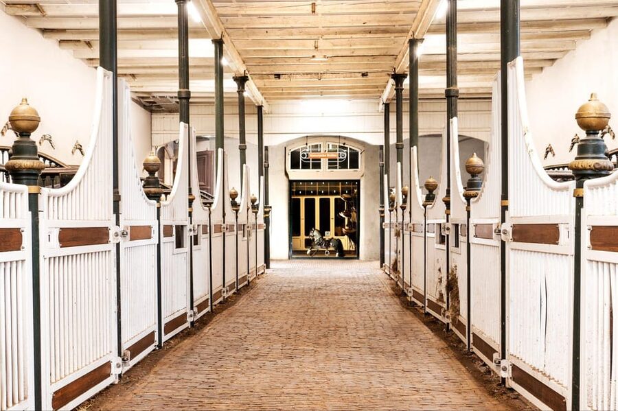Amsterdam: The 'Hollandsche Manege' Stables Entry Ticket - Entering Amsterdam’s 1744 riding school