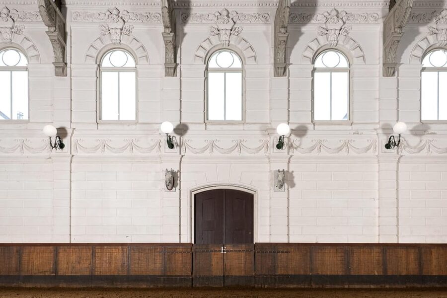 Amsterdam: The 'Hollandsche Manege' Stables Entry Ticket - Meeting the horses in the stables