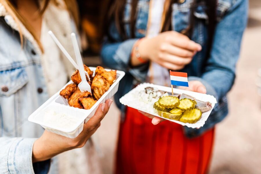 Amsterdam to Haarlem: Private Day-Trip Experience - Molen de Adriaan and the Haarlem skyline
