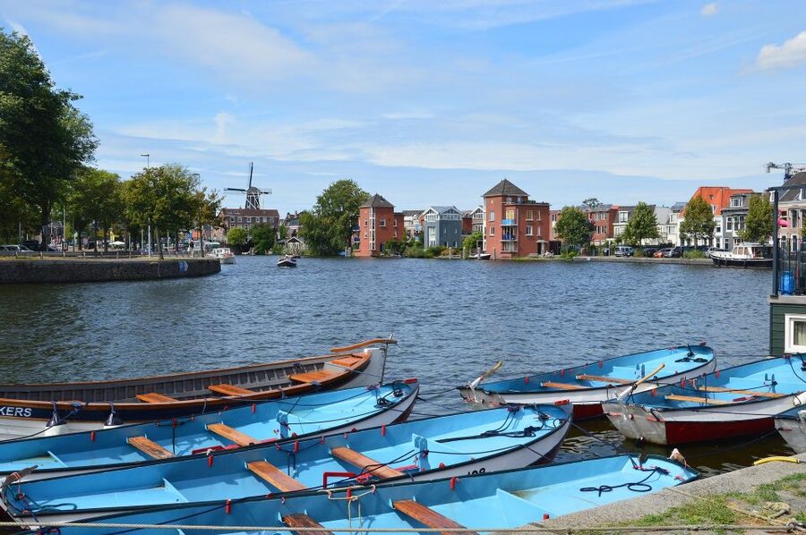 Amsterdam to Haarlem: Private Day-Trip Experience - Lunch, cafés, and the food side of the day