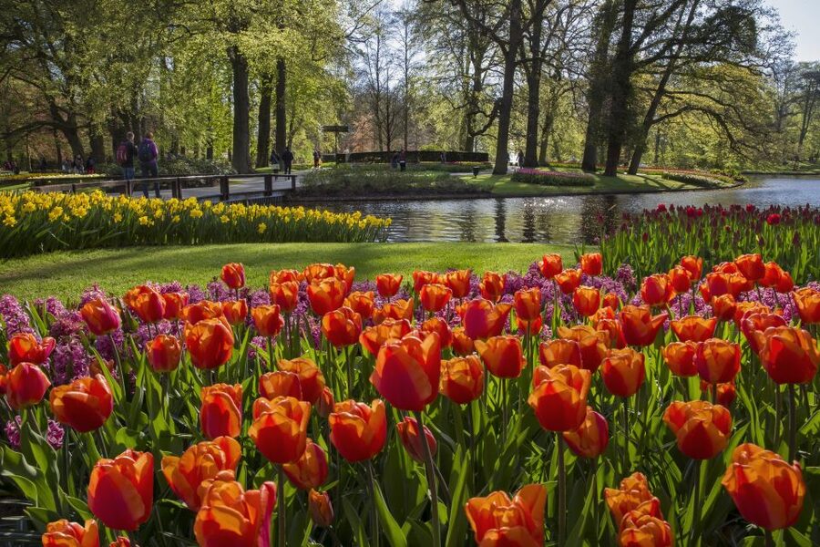 Amsterdam: Tour to Keukenhof Gardens with Windmill Cruise - Food, seating, and what to pack