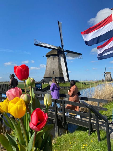 Amsterdam: Tulip Fields Day Tour with Lunch & Windmill - Why the northern fields are worth your morning