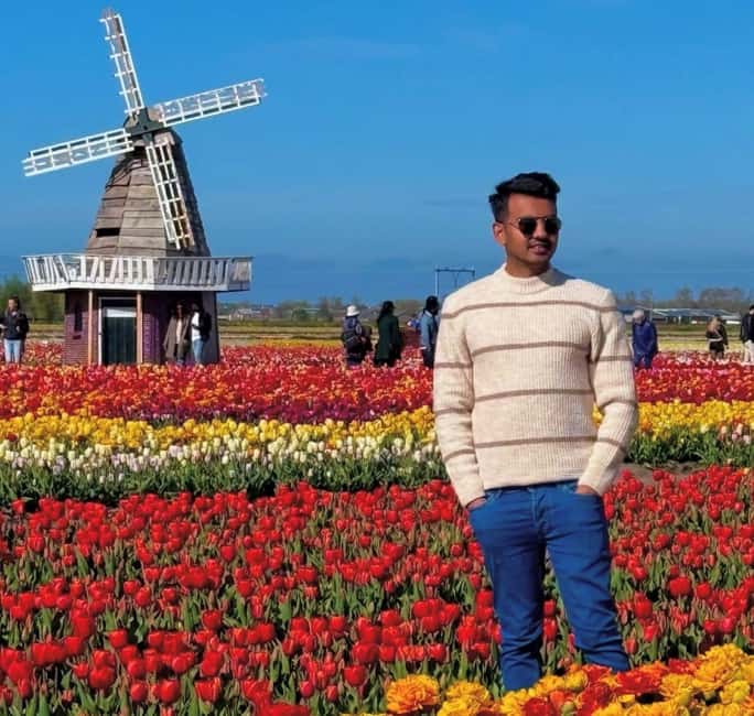 Amsterdam : Tulip Wonderland Tour - Why Tulip Barn works better than a farm field
