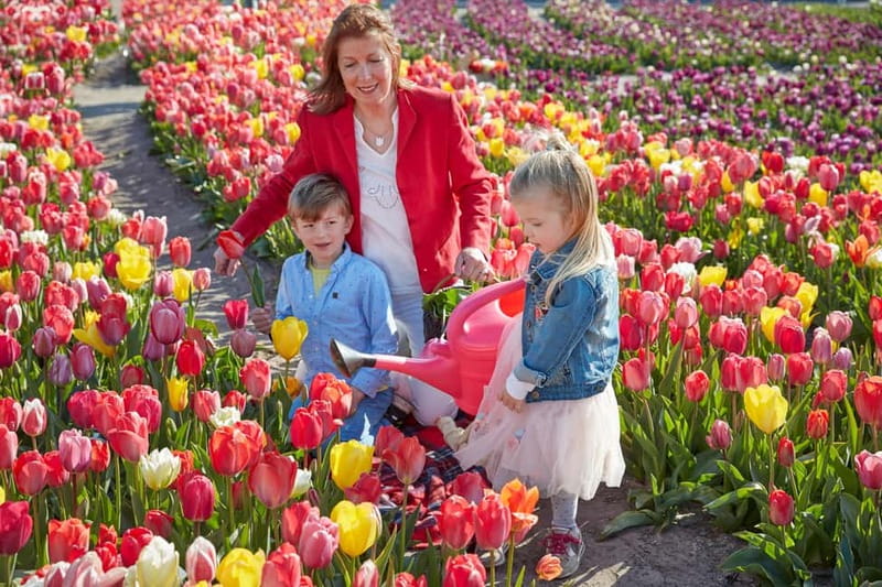 Amsterdam : Tulip Wonderland Tour - The best photo opportunities are built into the garden