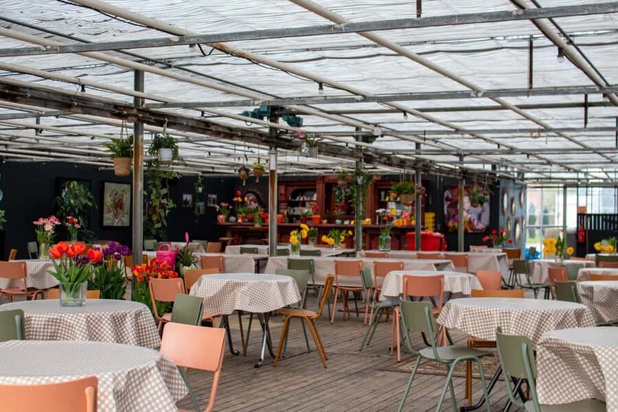 Amsterdam : Tulip Wonderland Tour - Rain, comfort, and practical limitations