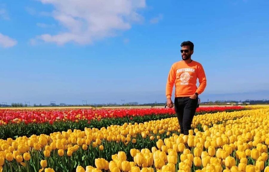 Amsterdam : Tulip Wonderland Tour - Who should book this tulip outing