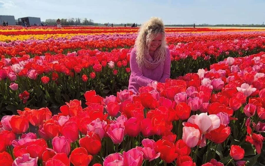 Amsterdam : Tulip Wonderland Tour - Should you book the Tulip Wonderland Tour?
