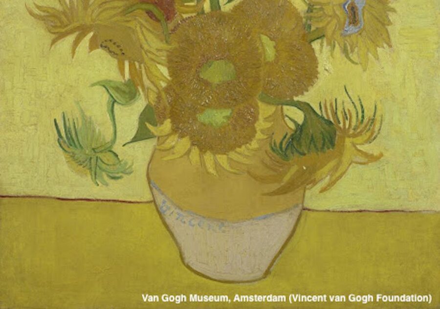 Amsterdam: Van Gogh Museum Guided Tour with Entry - Key points at a glance