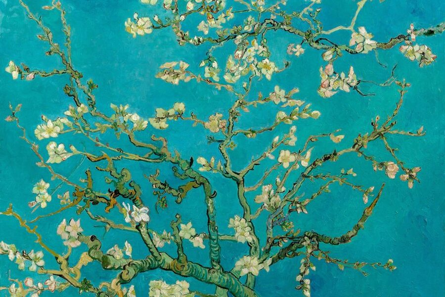 Amsterdam: Van Gogh Museum Ticket and City Canal Cruise - Start with Van Gogh at Museumplein 6