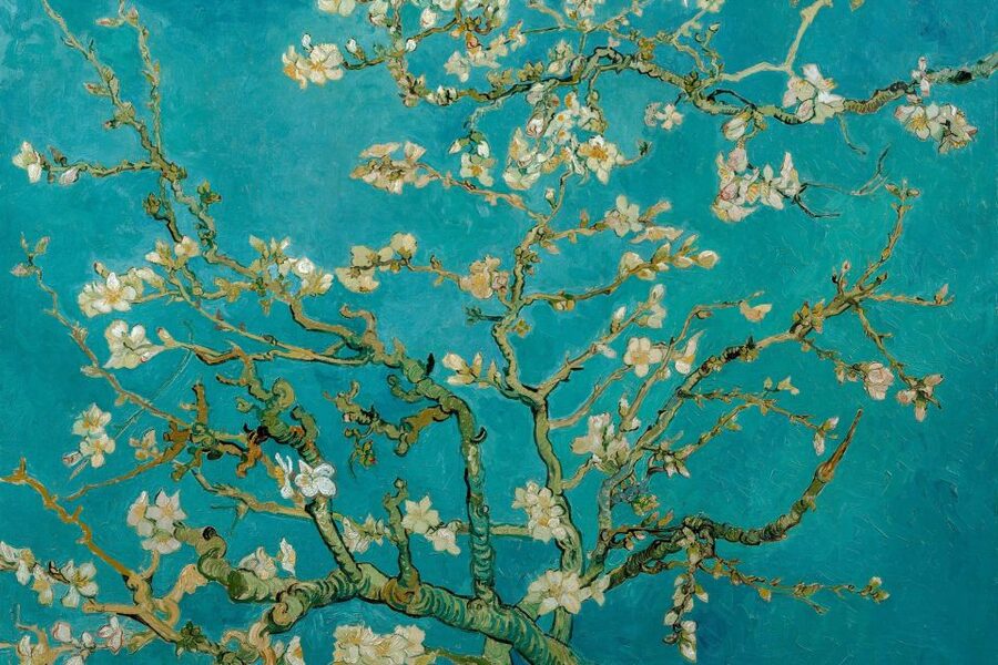 Amsterdam: Van Gogh Museum Ticket & Canal Cruise - Moving from the museum to the canals