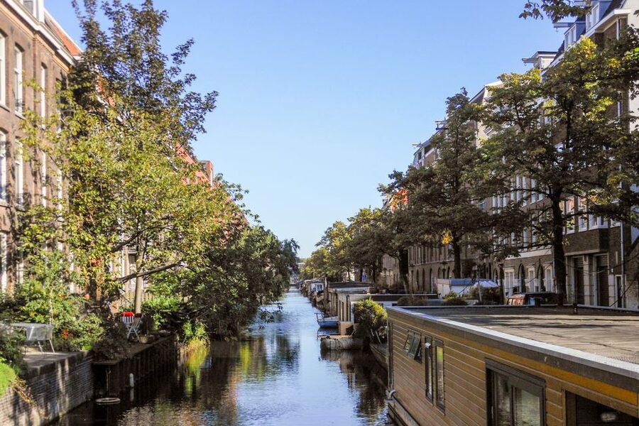Amsterdam Walking Tour and Canal Cruise - A street market adds ordinary Amsterdam